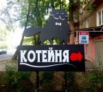 jH6W4VsM01o.jpg jH6W4VsM01o.jpg