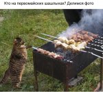 Screenshot_2019-05-01-21-00-20-523_com.vkontakte.android.jpg Screenshot_2019-05-01-21-00-20-523_com.vkontakte.android.jpg