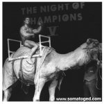 731234B1-6117-4B00-B79A-726A776E93AA.jpeg 731234B1-6117-4B00-B79A-726A776E93AA.jpeg