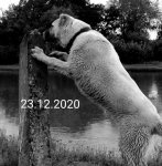 20201225_091859.jpg 20201225_091859.jpg